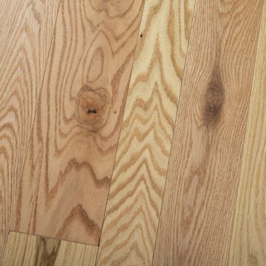 Heirloom Red Oak